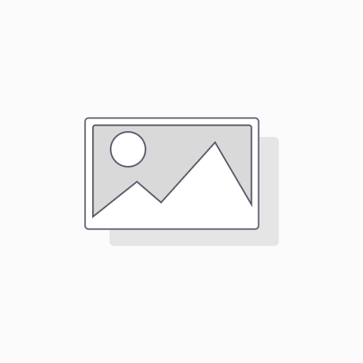 [EX-065] [EX-12] Hosting (Onlineshop)
